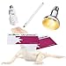 REPTI ZOO UVB Tester Reptile Lamp UV Sensor Reptile UVB Fluorescent Lamp Tester Card, Set of 2