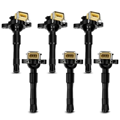 6x Zündspule Zündmodul für 3er 5er 7er E36 E39 E46 8er Z3 Z8 R-a-n-g-e R-o-v-e-r III ZS ZT 75 1993-2005 12131703228