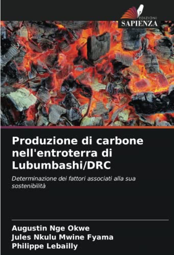 Produzione di carbone nell'entroterra di Lubumbashi/DRC: Determinazione dei fattori associati alla sua sostenibilità