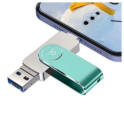 Qarfee Memoria USB 128 GB para Phone 4 en 1 Pendrive Flash Drive USB 3.0 Memoria Externa para iOS Android OTG Computadoras Laptops Tipo C Smartphone(128GB, Green)