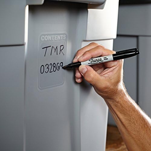 Sharpie Twin Tip 2 in 1 Ultra Fine/Fine Tip Marker - Black