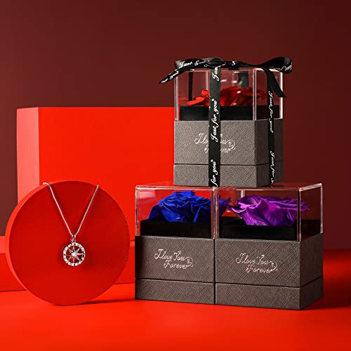 Mothers Day Gifts, Preserved Real Red Rose With Compass Necklace -Eternal Flowers I Love You Gifts For Girlfriend Wife On Mothers Day Valentines Day Anniversary Birthday Gifts For Her #TOP6