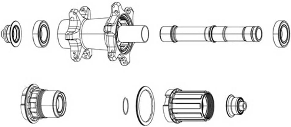 SRAM Zipp Spring and Pawl Set - ZR1