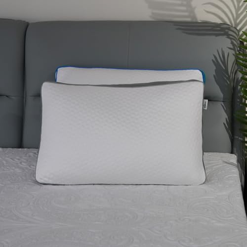 Original Adjustable Firm Pillow, Unique Bed Pillows for Sleeping,Comfort for Neck and Shoulder Pain - 750 Fill Power Down & 42D High Density Memory Foam Filling for Side,Back, Stomach Sleepers