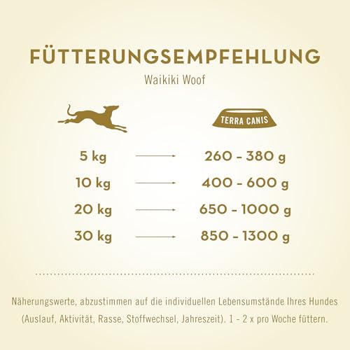 Terra Canis Lachs mit Quinoa, Mango und Hibiskus - Flower Menü Waikiki Woof Nassfutter 6x400g | Premium Hundefutter in 100% Lebensmittelqualität Aller Rohstoffe | Reichhaltig & gesund