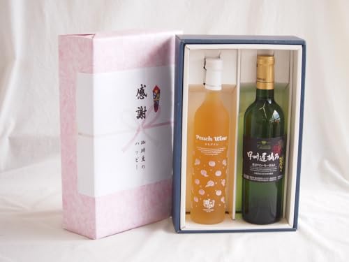 ӂ̑蕨{bNX Ìt[cCƍYCZbg(bBxE  nÌC Ì(R)720mlÌC(R`)500ml