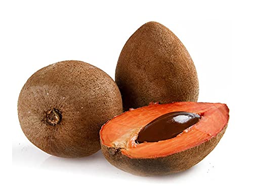 Fresh Mamey Sapote Pouteria Sapota (Set of 3)
