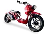 ICEBEAR MADDOG Generation 5 50CC Moped Scooter | PMZ50-22 GEN V (RED)