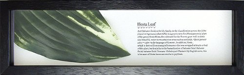 [tpl nfBAt[^/X̂ zX^[t2iubNj/ G Ǌ| ̂