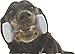 Enrych Dog Training Dumbbell, 5.3-Inch, White