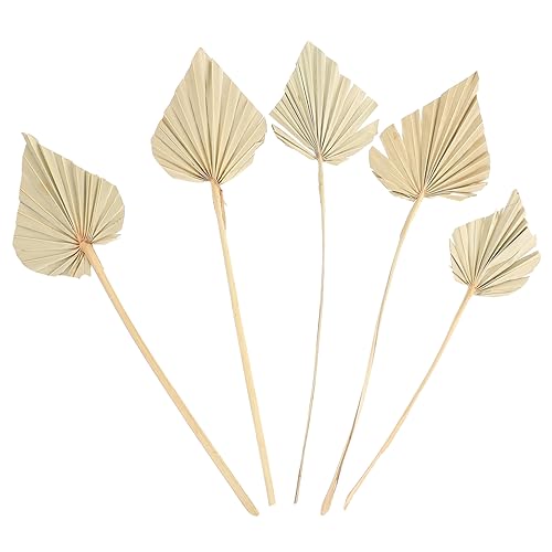 ABOOFAN 5pcs Palm Dried Flower Palm Leaves Decor Palms for Palm Sunday Palm Leaf Branch Dried Palm Spear Palm Leaves for Palm Sunday Faux Plant Leaves Natural Dried Flowers Tropical Plants
