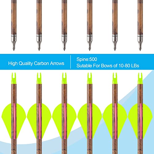 Aimdor Carbon Arrow 12 Pcs 30 Inch Practice Hunting Arrows with Removable Tips for Compound Recurve Bow Kids Bow Longbow with Paper Target Arrow Puller and Target Nails