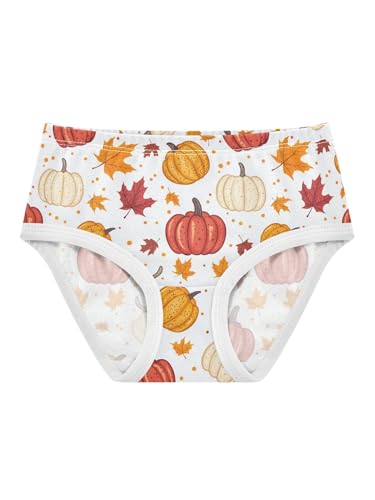 ZZKKO Maple Leaves and Pumpkins Girls Underwear Toddler Panties for Girls Comfort Brief Size 2T