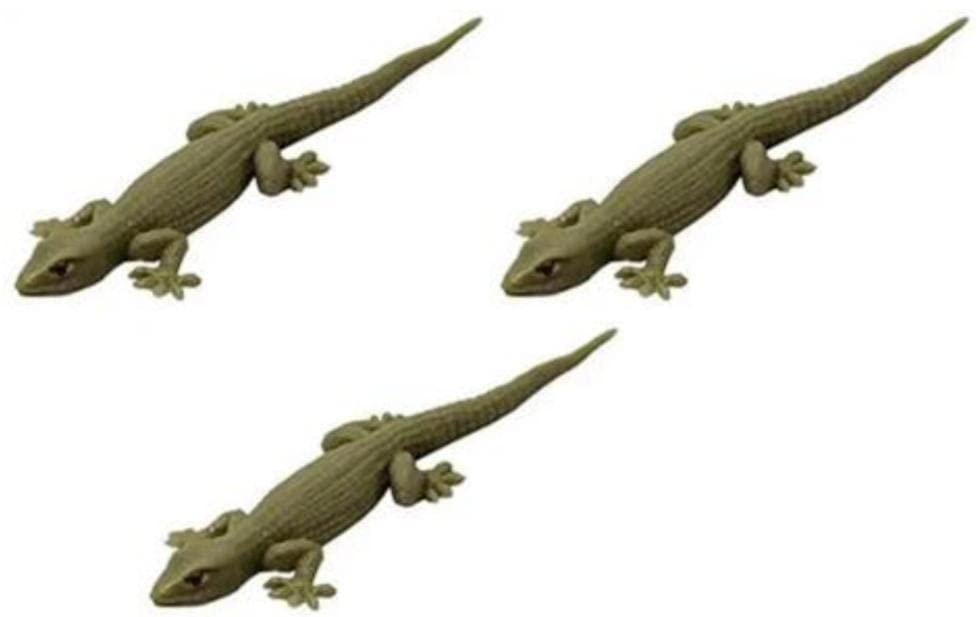 Image of Hetkrishi |Toys Set of 3 Fake Lizard House Gecko Rubber Practical Jokes and Prank Trick Toys|, Green