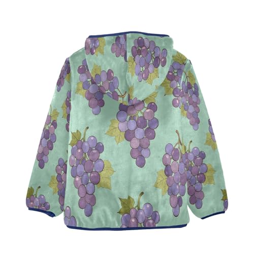 Grapes and Leaves Pattern Print Toddler Fleece Jacket Girl Boys Hooded Fleece Jacket Coat Warm Outwear Zip-up 3-10T2