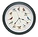 The Original Singing Bird Clock 25th Anniversary Edition, As Seen On TV (13 Inch, Matte Green)