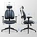 FLEXISPOT Ergonomic Office Chair with Dual Back Support, Home Office Desk Chairs, Swivel Computer Chair, Comfy with Dynamic Double Lumbar Support 4D Arm Rest OC5 (Black)