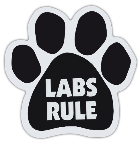 Imán decorativo con forma de pata de perro miniatura 1