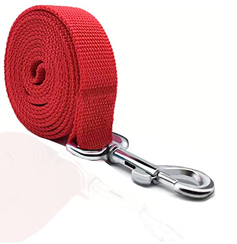 TAIAN 4FT/5FT/6FT Strong Dog Leash, Nylon Dog Leashes for Small Medium Large Dogs (1 in x 4 ft, Red)