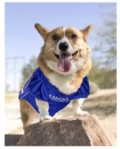 Image of Pets First Collegiate University of Kansas Jayhawks Dog Mesh Jersey, Small