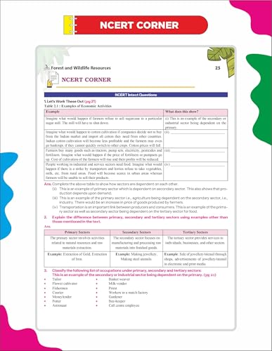 Image of Disha 360 Social Science & English Literature & Language NCERT Simplified CBSE Class 10 for 2027 Exam | 4 color Concepts & Question Bank by Kriti Sharma | Theory, PYQs, Competency & NCERT Questions