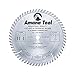 Amana Tool - 610601 Carbide Tipped Heavy Duty General Purpose 10" Dia x 60T Tcg, 10 De