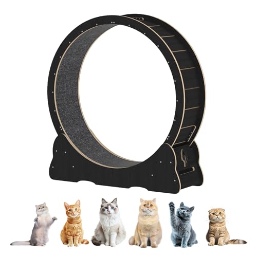 Lpgbh~A ؐLpGNTTCYzC[iJ[ybgƃeB[U[tjA}`J[ATCY(Black,L)