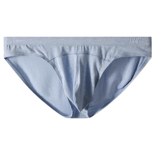 WINDAY Men's Briefs Modal Silk Low Rise Bikini Brief Soft Moisture Wicking Underwear