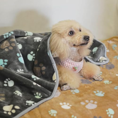 SORKUT 1 pacote com 6 cobertores para cães, cobertor macio e fofo, cobertor para animais de estimaçã