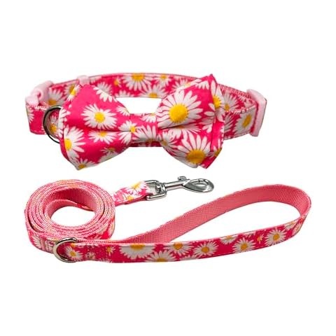 Olahibi Bowtie Dog Collar and Leash Set, Nylon Webbing with Daisy Ribbon, 5ft Matching Leash, for Medium Dogs.(M, Pink Daisy) Cover