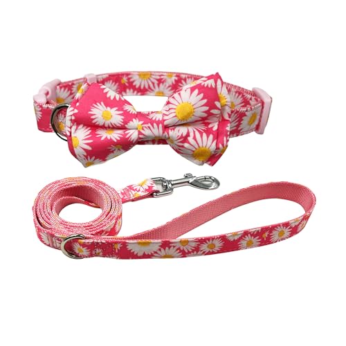 Olahibi Hunde-Set Gänseblümchen Rosa mit Leine