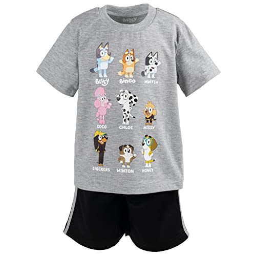 Image of Bluey T-Shirt and Mesh Shorts Outfit Set Infant to Big Kid Sizes (12 Months - 10-12)