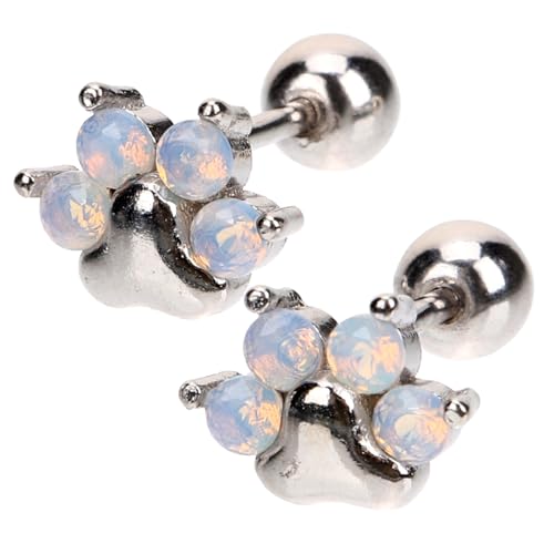 CONGARTENO 1 yA L  CO ̎q  X^bh 킢 CO