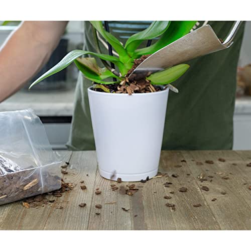Houseplant Mulch - Small Bark Wood Chips For Indoor, Patio, Potting Media, And Much More! (8Qts) #TOP5