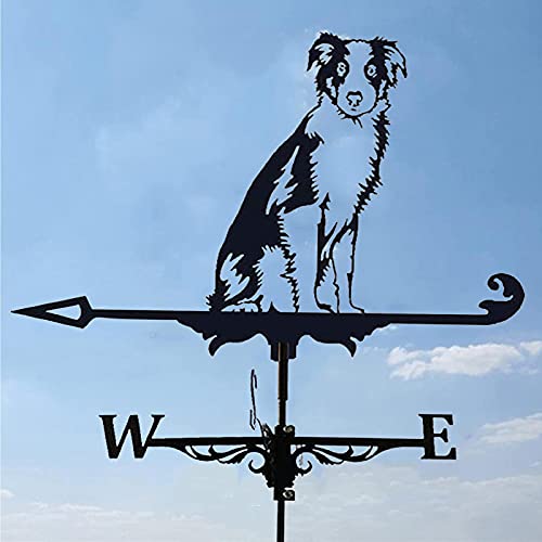 Decorazione banderuola a Forma di Gallo, banderuola a Vento per Montaggio sul Tetto, Scena di Fattoria all'aperto, indicatore di direzione del Vento con Rivestimento antiruggine, Strumento di misuraz