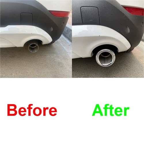 Cache-pot d'échappement de haute qualité pour BMW X1 F49 F48 finition Silver - 3