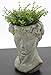 The Bridge Collection Antique Style Old World Greek Statue Head Cement Face Planter Pot