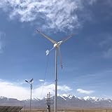 5000W 48V Horizontal Wind Turbine Kit - 5KW Wind Power Generator with 1.6M Blades, Ideal for Home, Farm, Marine & Wind-Solar Hybrid Systems (No Mast)