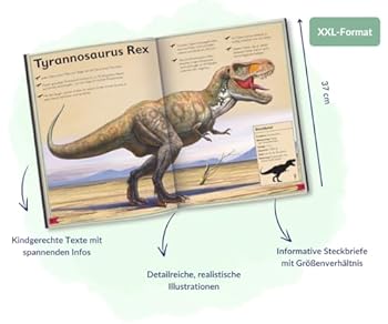 Hardcover Das Riesenbuch der Dinosaurier [German] Book