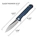 Petrified fish G10 handle D2 steel blade 2CR13 liner ball bearing flipper folding knife camping hunting EDC pocket tool PF818 (Gray, Satin)