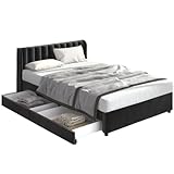 LUNEX HOME