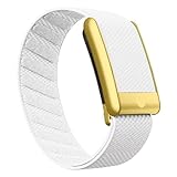 KUYONDEA Bracelet élastique tissé en Nylon, Compatible avec Whoop 5.0, Bracelet de Remplacement for Sport, Cadre métallique doré en Forme de U(for Whoop MG) KUYONDEA Bracelet élastique tissé en Nylon, Compatible avec Whoop 5.0, Bracelet de Remplacement for Sport, Cadre métallique doré en Forme de U(for Whoop MG)