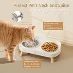 Elevated Cat Bowl, Raised Cat Food and Water Bowl Set for Indoor Cats, Splash Proof with 2 Stainless Steel Pet Food Bowls for Cats and Puppies, Whisker Fatigue and Dishwasher Safe - White - Image 3