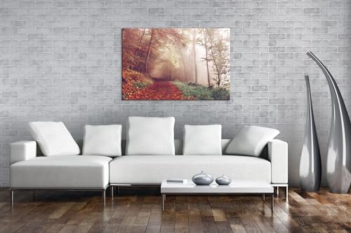 Chemin de forêt brumisé en automne : illuminez vos murs blancs monotones - 2