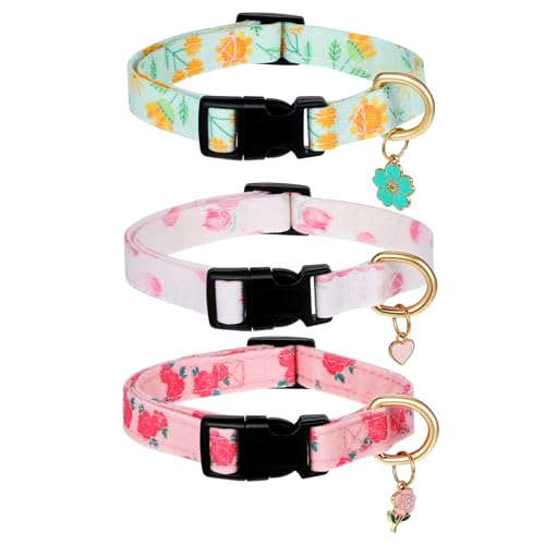 Collar ajustable para perros pequeños, 3 piezas