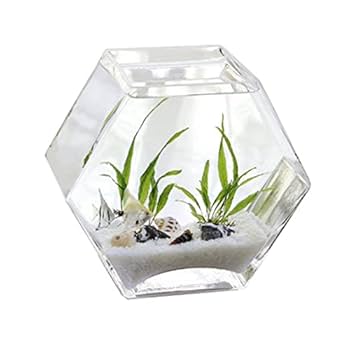 キャンディジャー　イタリア製　 金魚鉢 メダカ ビンテージ インテリア キャンディジャー イタリア製 金魚鉢 メダカ ビンテージ インテリア