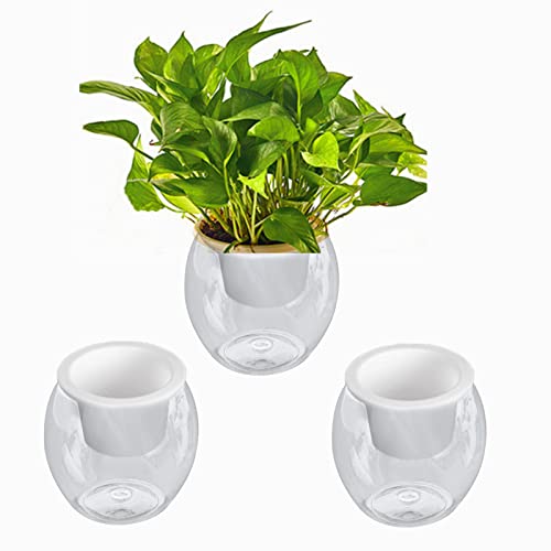 WUHNGD Macetas de plástico de riego automático de 10,5 cm con cuerda de mecha de plástico transparente para riego automático, macetero para plantas Cover