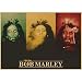 danyangshop Impression sur Toile Peinture sans Cadre Bob Marley Affiche Rétro Nostalgique National Rock Musique Affiche Peinture Mur Autocollant B952 (40X50Cm) sans Cadre