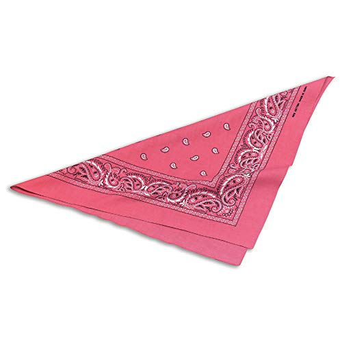 PINK COWBOY COWGIRL BANDANA WESTERN FANCY DRESS (disfraz)