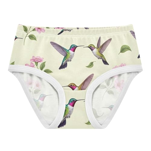 Stylish Toddler Underwear Floral 2t Cotton Panties Little Girl Colorful Hummingbirds Pink Floral Briefs Girls Undies